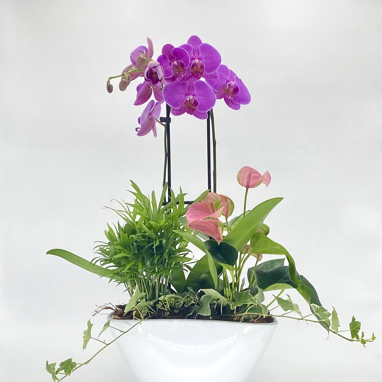 LG Colour Eileen Planter