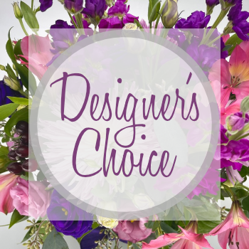 Designers Choice - Click Image to Close